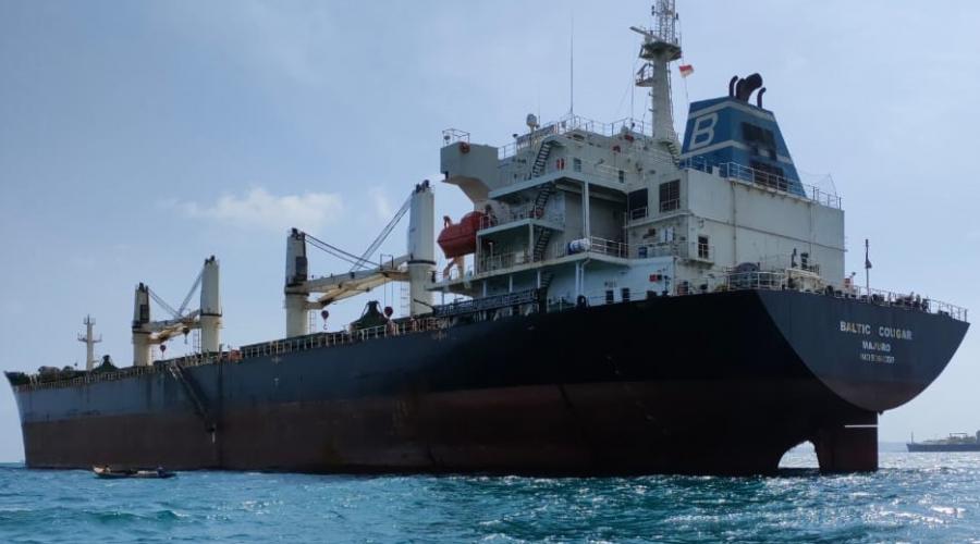 BALTIC COUGAR / GT.31.117